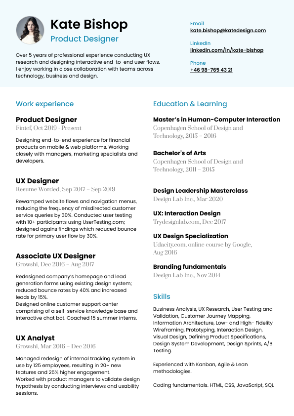 The Professional: a classic and clean resume template for corporate job seekers. Resume Template